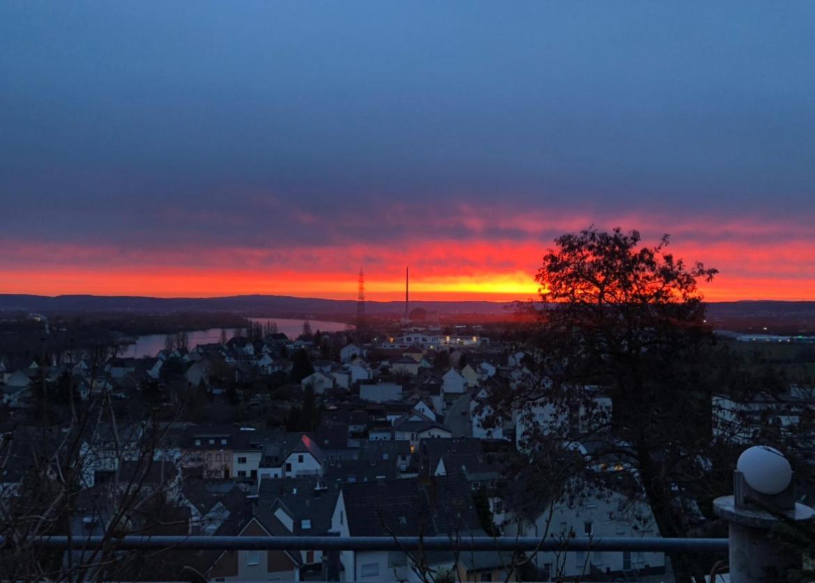 Zum Schoenen Ausblick Weissenthurm Exterior photo